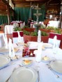 /album/fotogaleria-eventos/a378092-2935507786202-556901091-n-phixr-jpg/